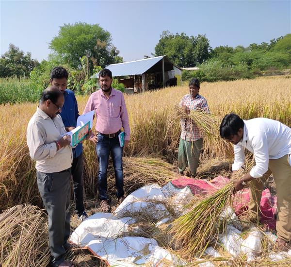 Warangal Urban District                                                                                                                                                                                                                                    - Crop Cutting Expts.,                                                                                                                                   - PMFBY-CCE IN BHEEMADEVARPALLI MANDAL                                                                                                                                                                                                                            - dt.15/11/2019          